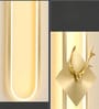 Carter 600mm Deer Head Wall Light Gold Electroplated Body Tri-Color LED Modern Decorative Wall Lamp for Bedroom Living Room