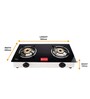 CARVES 2 Burner Nano Gas Stove with toughened Glass top & Rich Matt Steel Body (ISI Certified)