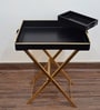 CasaGold Black Foldable Leather Butler Tray Table & Serving Tray & Tissue Box with Metal Stand