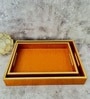 CasaGold Brown Tan Leather Tray