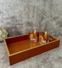 CasaGold Brown Tan Leather Tray