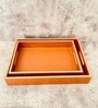 CasaGold Brown Tan Leather Tray