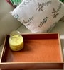 CasaGold Brown Tan Leather Tray