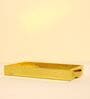 CasaGold Combo Leather Tray with Tissue Box-Gold