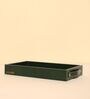 CasaGold Combo Leather Tray with Tissue Box-Green