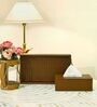 CasaGold Combo Leather Tray with Tissue Box-Tan Brown