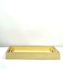 CASAGOLD SET OF 2 LEATHER TRAY WITH TISSUE HOLDER SET