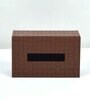 CASAGOLD SET OF 2 LEATHER TRAY WITH TISSUE HOLDER SET -TAN BROWN