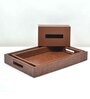 CASAGOLD SET OF 2 LEATHER TRAY WITH TISSUE HOLDER SET -TAN BROWN