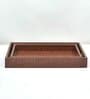 CASAGOLD SET OF 2 LEATHER TRAY WITH TISSUE HOLDER SET -TAN BROWN