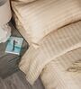 Beige 300TC 100% Cotton Stripe Flat Super King Bedsheet with 2 Pillow Covers