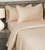 Beige 300TC 100% Cotton Stripe Flat Super King Bedsheet with 2 Pillow Covers
