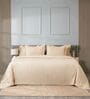Beige 300TC 100% Cotton Stripe Flat Super King Bedsheet with 2 Pillow Covers