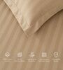 Beige 300TC 100% Cotton Stripe Flat Super King Bedsheet with 2 Pillow Covers