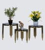 Casper Black & Gold Glass Top Nesting Coffee Table (Set Of 3)