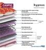 Caspio Orthopedic 6 inch Bonnell Spring King Size Mattress in Navy Blue Colour