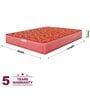 Caspio Orthopedic 6 inch Bonnell Spring Queen Size Mattress in Navy Blue Colour