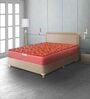 Caspio Orthopedic 6 inch Bonnell Spring Queen Size Mattress in Navy Blue Colour