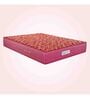 Caspio Orthopedic 6 inch Bonnell Spring Queen Size Mattress in Navy Blue Colour