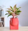 Cats are Gods Medium Red Ceramic Planter