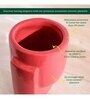 Cats are Gods Medium Red Ceramic Planter