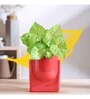 Cats are Gods Medium Red Ceramic Planter