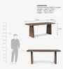 Cavallo 6 Seater Dining Table In American Walnut Wood Finish