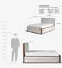 Cavallo Queen Size Bed With Ipiano Finish