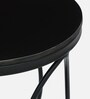 Cavos Metal End Table In Black Colour