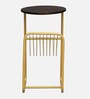 Cavos Metal End Table In Gold Finish With Magazine Stand