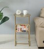 Cavos Metal End Table In Gold Finish With Magazine Stand