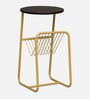 Cavos Metal End Table In Gold Finish With Magazine Stand