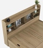 Cavour King Size Bed in Santana Oak Finish with Hydraulic Storage