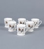 Hills 150ml (Set of 6) Bone China Tea Cup