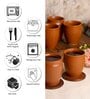 Brown Conical Shaped (Set of 6) Tea Kullar
