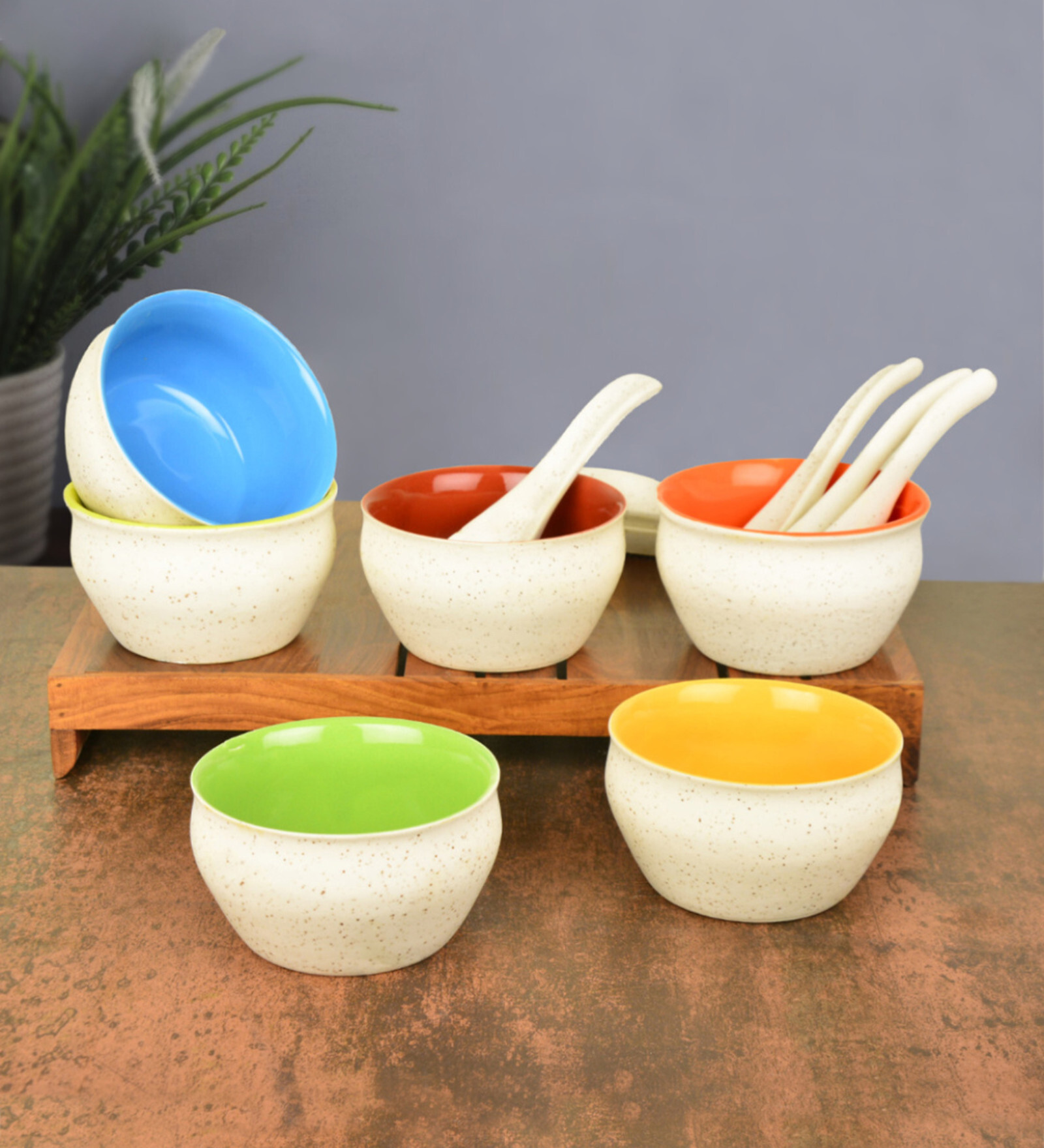 Ceramic Matt Finish Soup Bowls With Spoon Set of 6