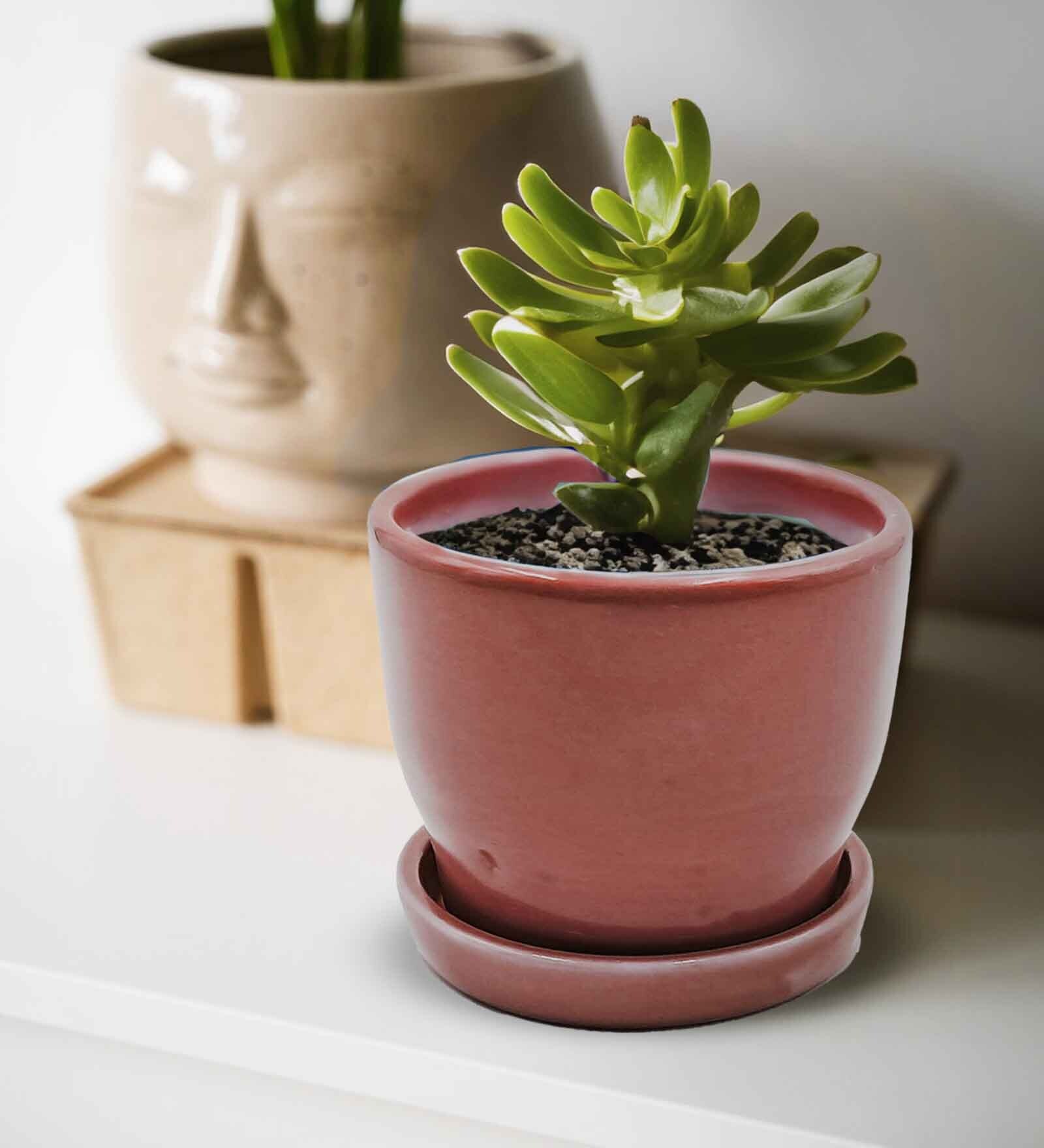 Ceramic Planter with Tray Red
