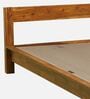Cedro Sheesham Wood Queen Size Bed In Scratch Resistant Rustic Teak Finish