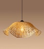 Ceiling Lamp | Lamp Shade | Ceiling Lamps For Living Room | Hanging Lights