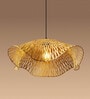 Ceiling Lamp | Lamp Shade | Ceiling Lamps For Living Room | Hanging Lights
