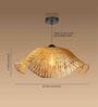 Ceiling Lamp | Lamp Shade | Ceiling Lamps For Living Room | Hanging Lights