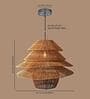 Ceiling Lights For Hall | Hanging Lights For Bedroom | Hanging Light | Lamp For Room