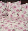Off White & Magenta Floral 300 TC Cotton Double Size Bedsheet With 2 Pillow Covers Celebrations Collection