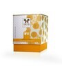 Celeste Bell Jar Candle Fragrance Choco Orange Gold Collection-285g