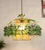 Celeste Black Iron Hanging Light | E27 holder | without Bulb | Eliante