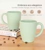 Celeste Classic Coffee Mug 300 ml (2 Pc)Rice Husk Biocomposite