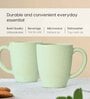 Celeste Classic Coffee Mug 300 ml (2 Pc)Rice Husk Biocomposite