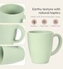 Celeste Classic Coffee Mug 300 ml (6 Pc)Rice Husk Biocomposite