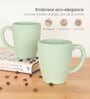 Celeste Classic Coffee Mug 300 ml (6 Pc)Rice Husk Biocomposite