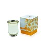 Celeste Hurricane Candle Fragrance Choco Orange Gold Collection-285g